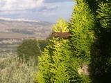 Clicca qui per vedere l'immagine in dettaglio